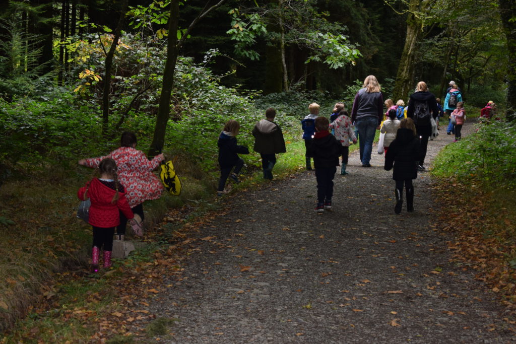 Walk in woods with school children for Tree Day