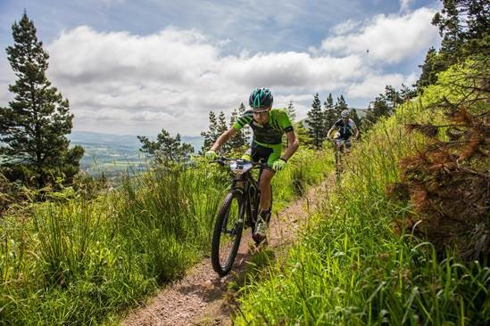 pictutre of mountain bike in a forest