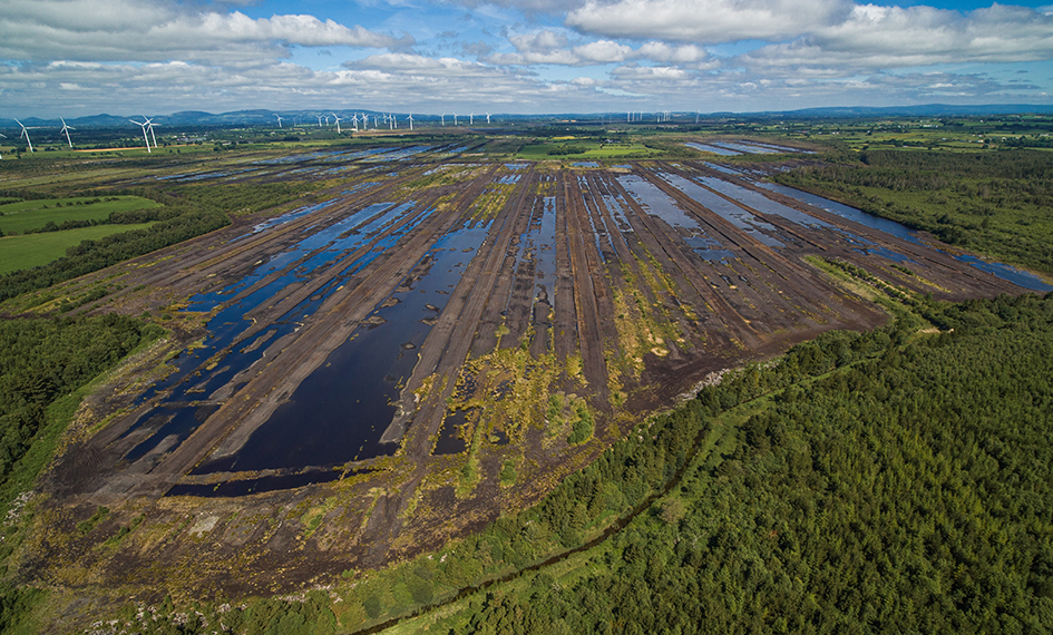 Cutaway bog at Clonsaul_web