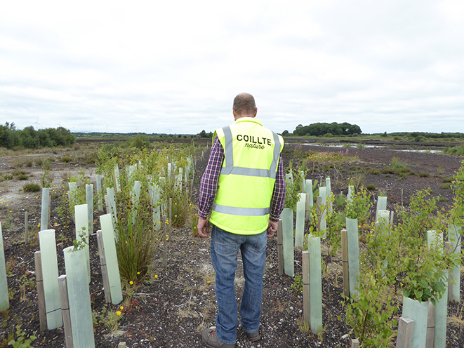 Declan Little at Baunmore bog
