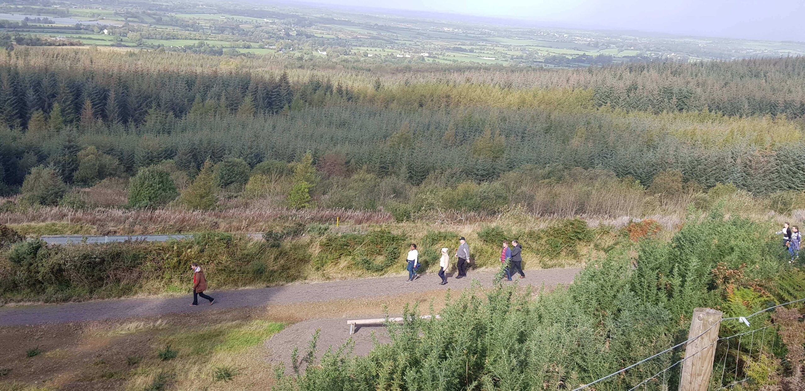 WfH Roscommon 1 scaled 1
