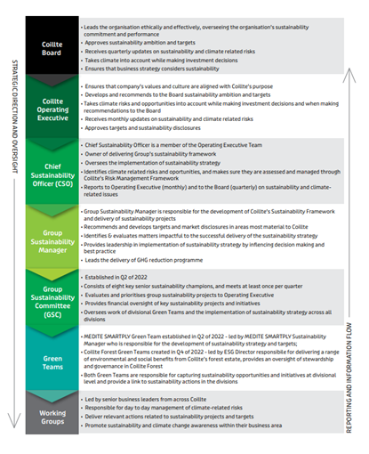 sustainability governance