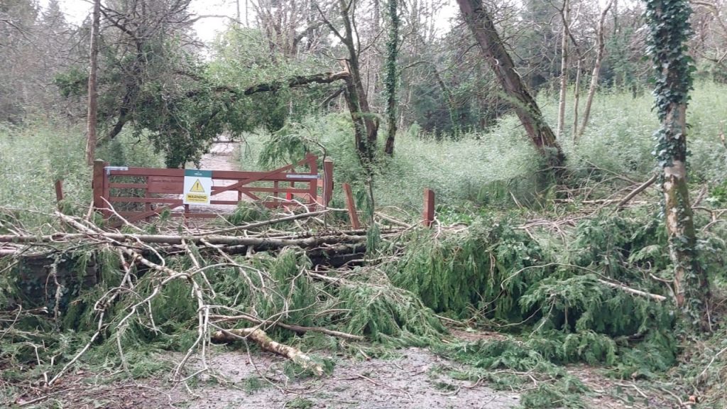 Picture of forest entrance showing a wooden gate with fallen trees blocking access