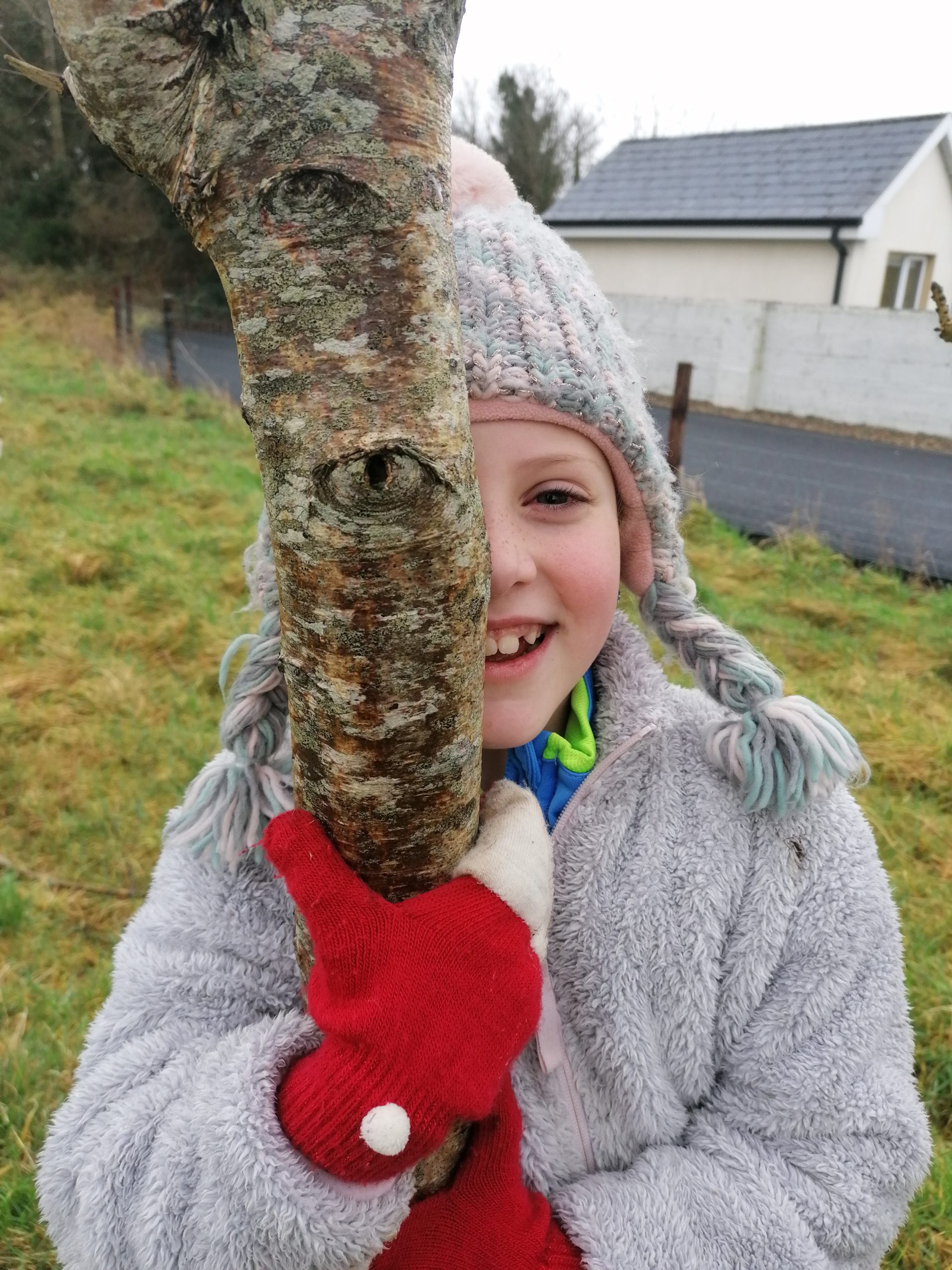 Monamaytree scaled