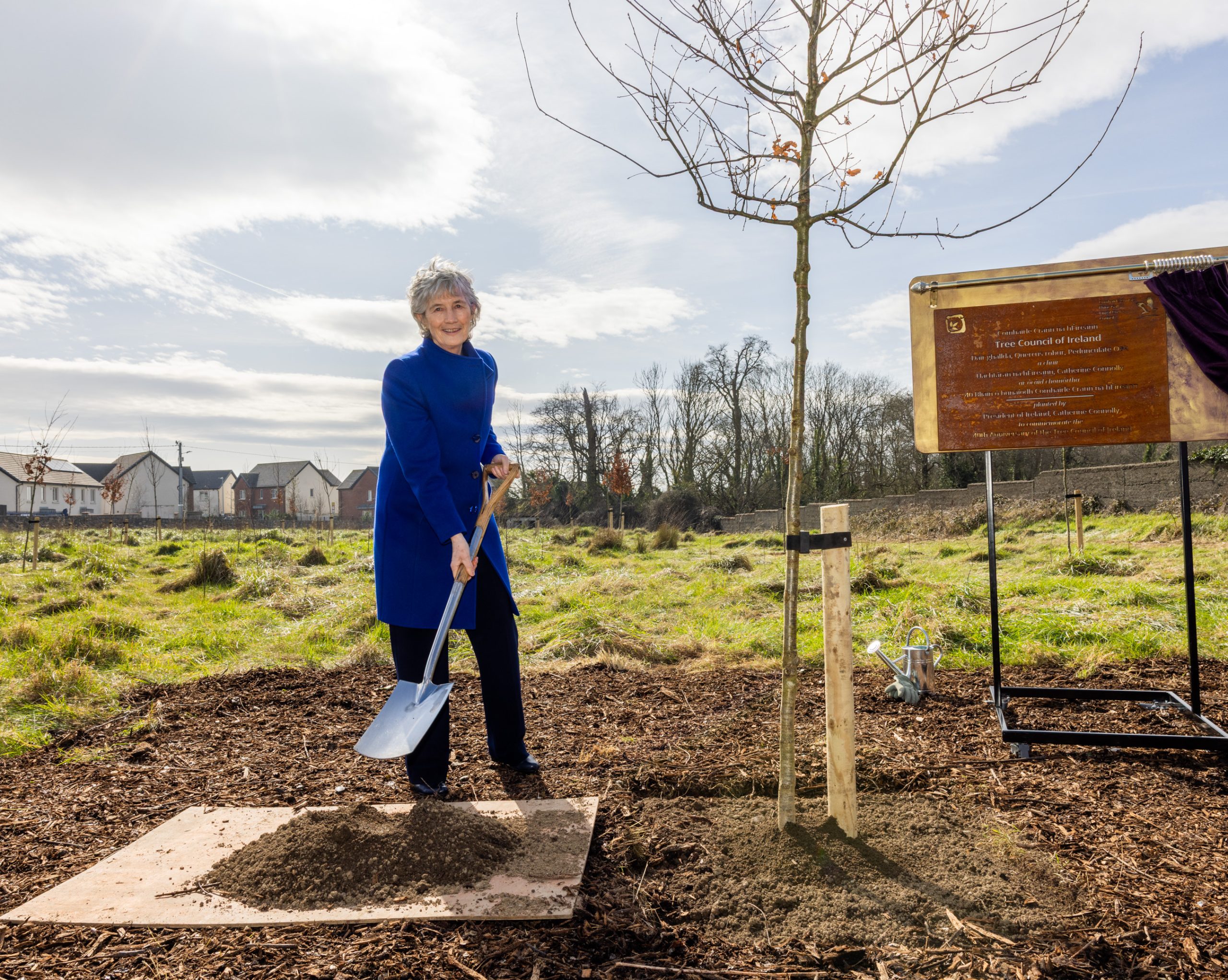 President Connolly launches National Tree Week 3 scaled