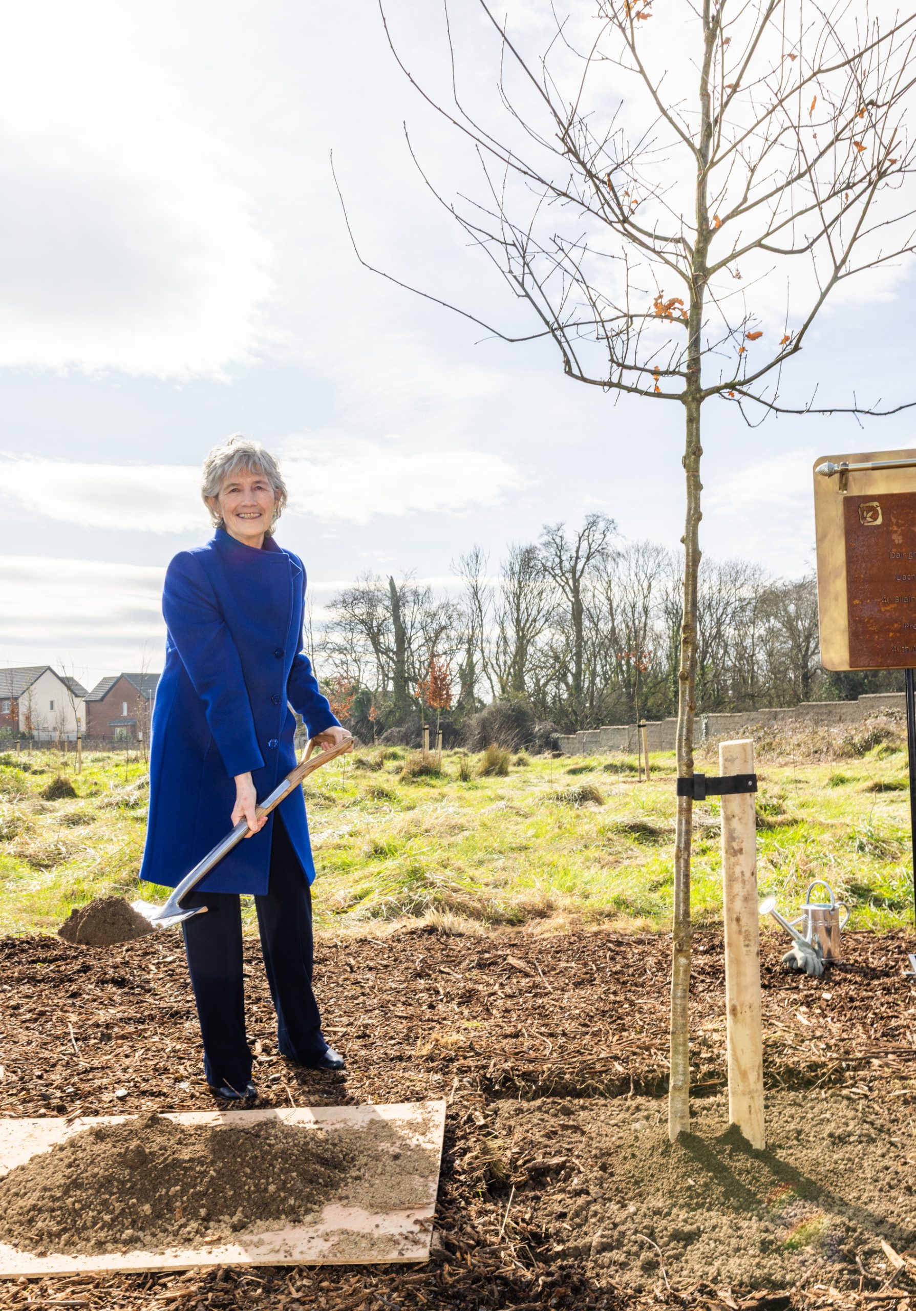 President Connolly launches National Tree Week 4 scaled