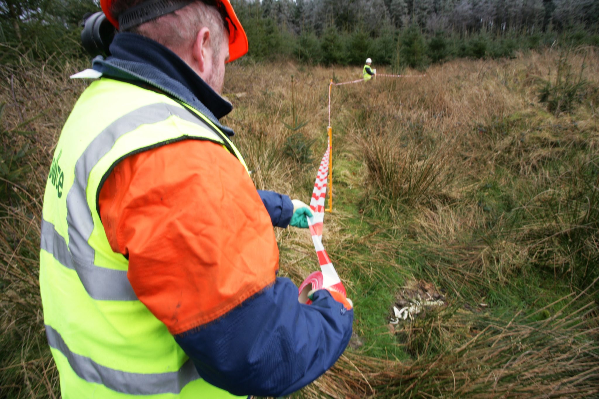 protecting an archaeological feature on Coillte estate archaeological feature on Coillte estate