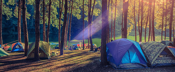 Camping Coillte