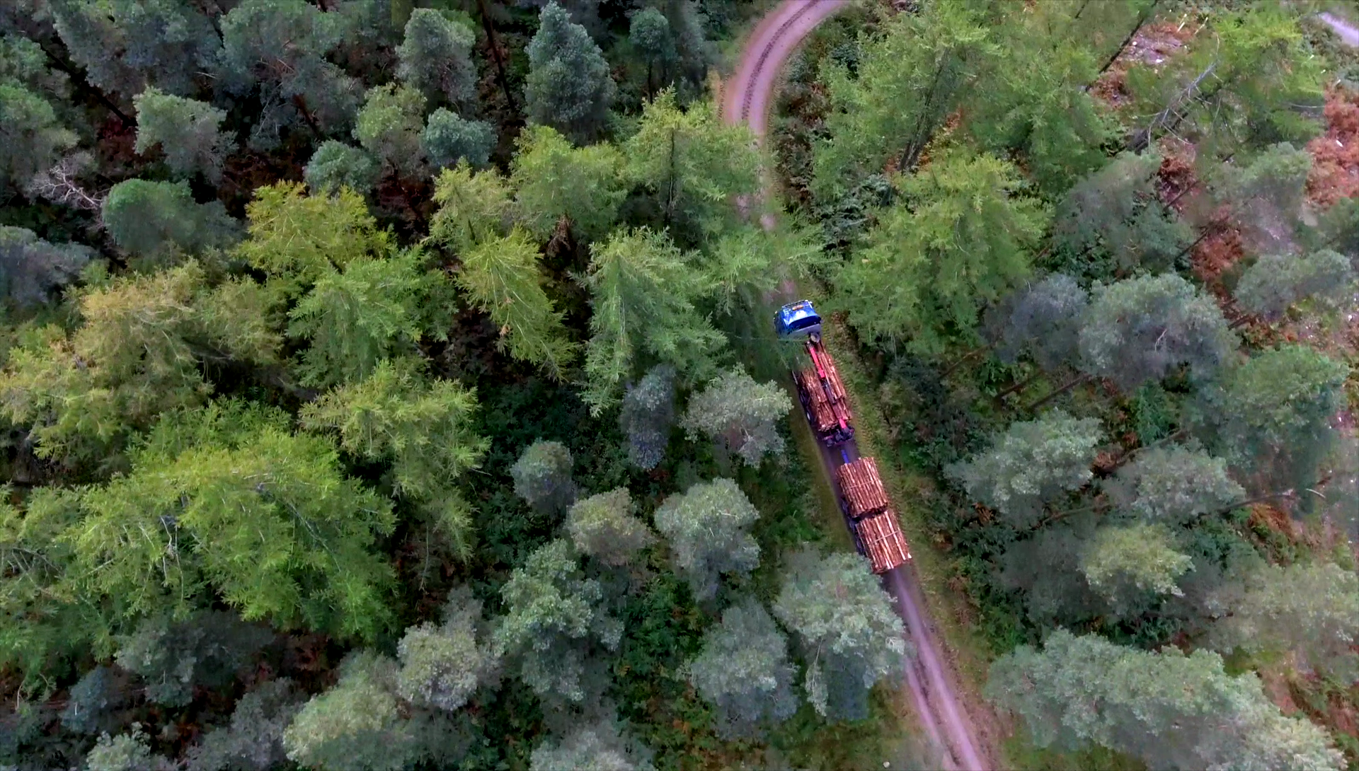 Forestry – Truck Leaving Forest 2
