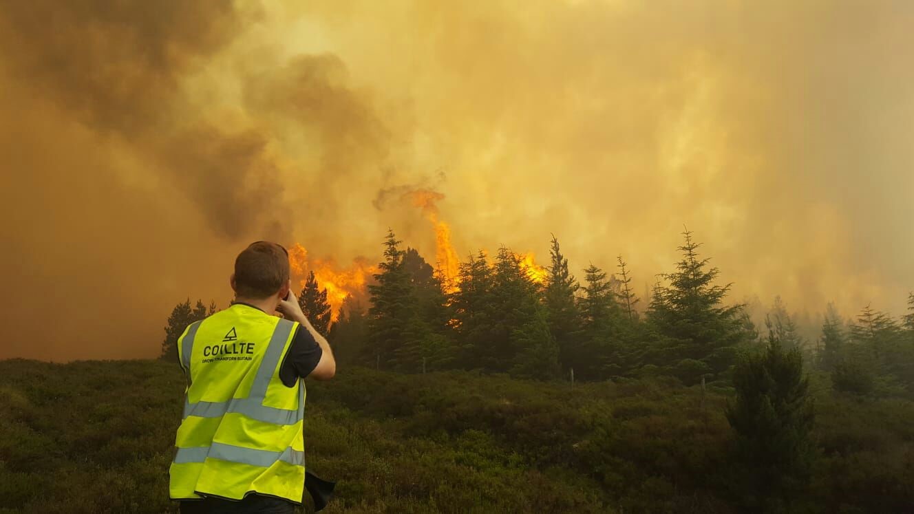 Forest Fire Coillte