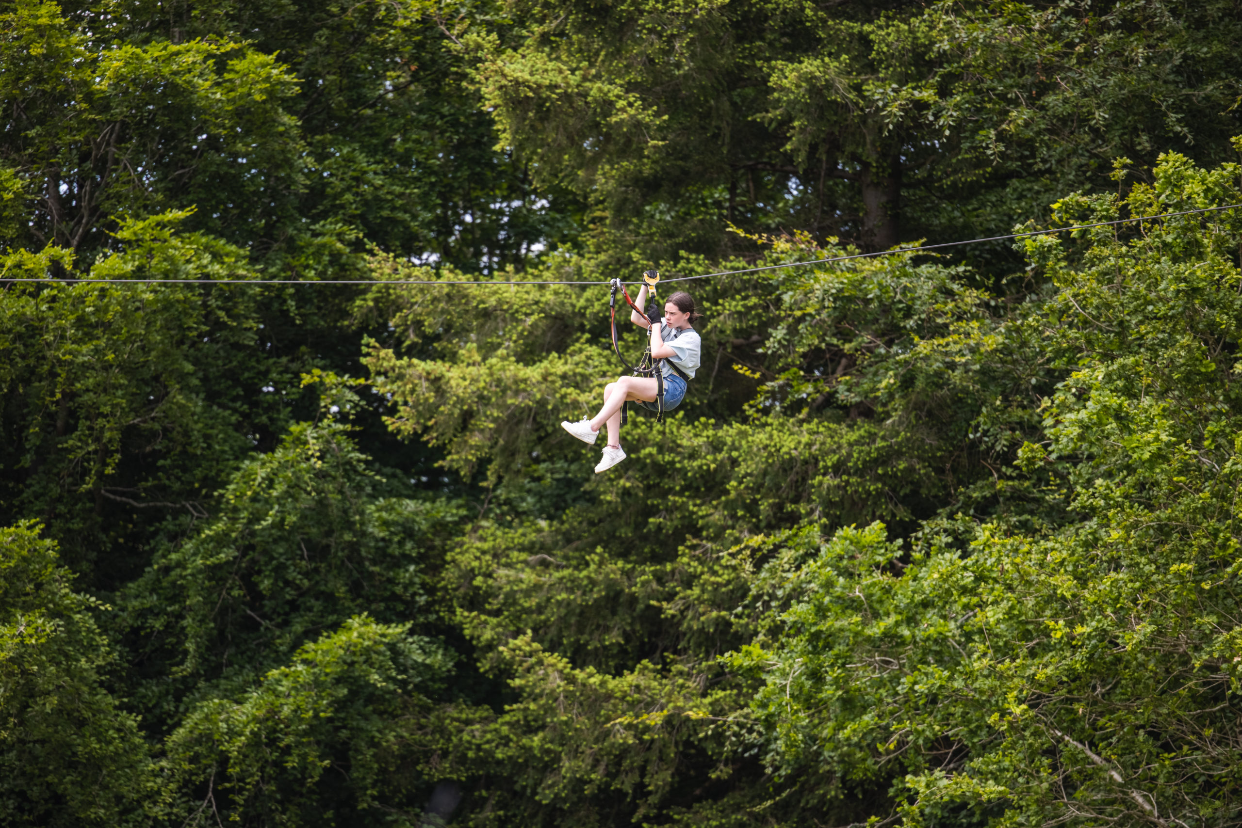 Coillte - Farran Forest Park - zipline Lady descending a zipline in Coillte's farran forest park