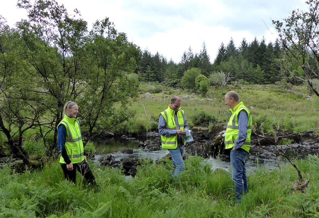 Coillte Nature team visit the Kerry LIFE project