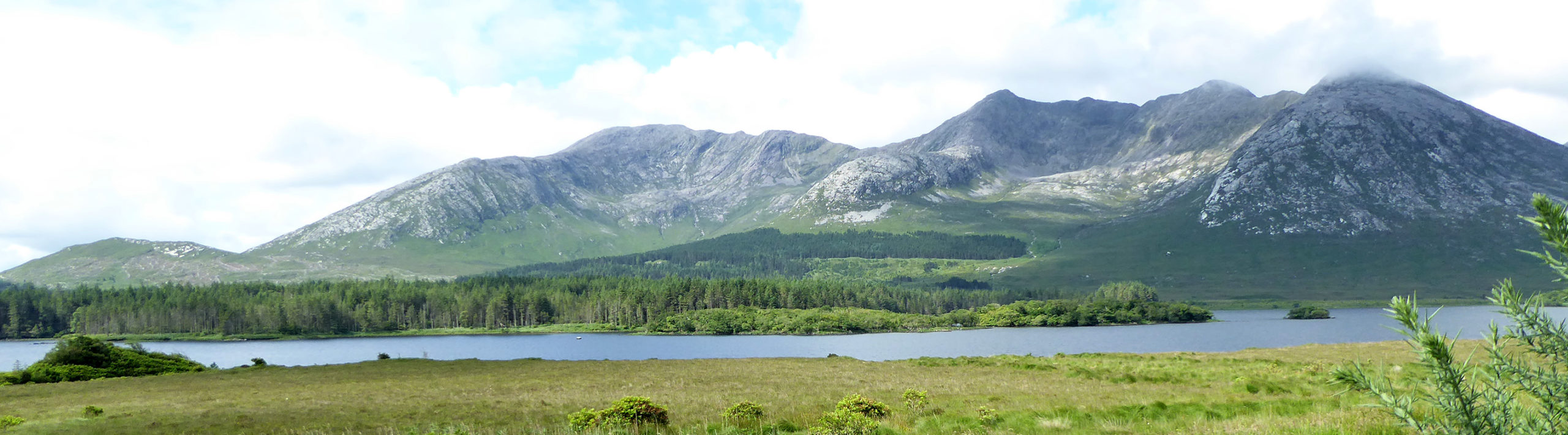WWP pilot site at Derryclare