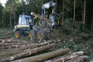 Picture of Coillte cutting trees