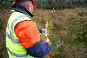 archaeological feature on Coillte estate