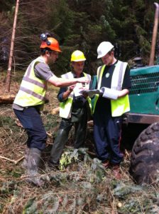 photo of FSC auditor conduction an audit in Coillte forest
