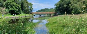 Killykeen FP Bridge