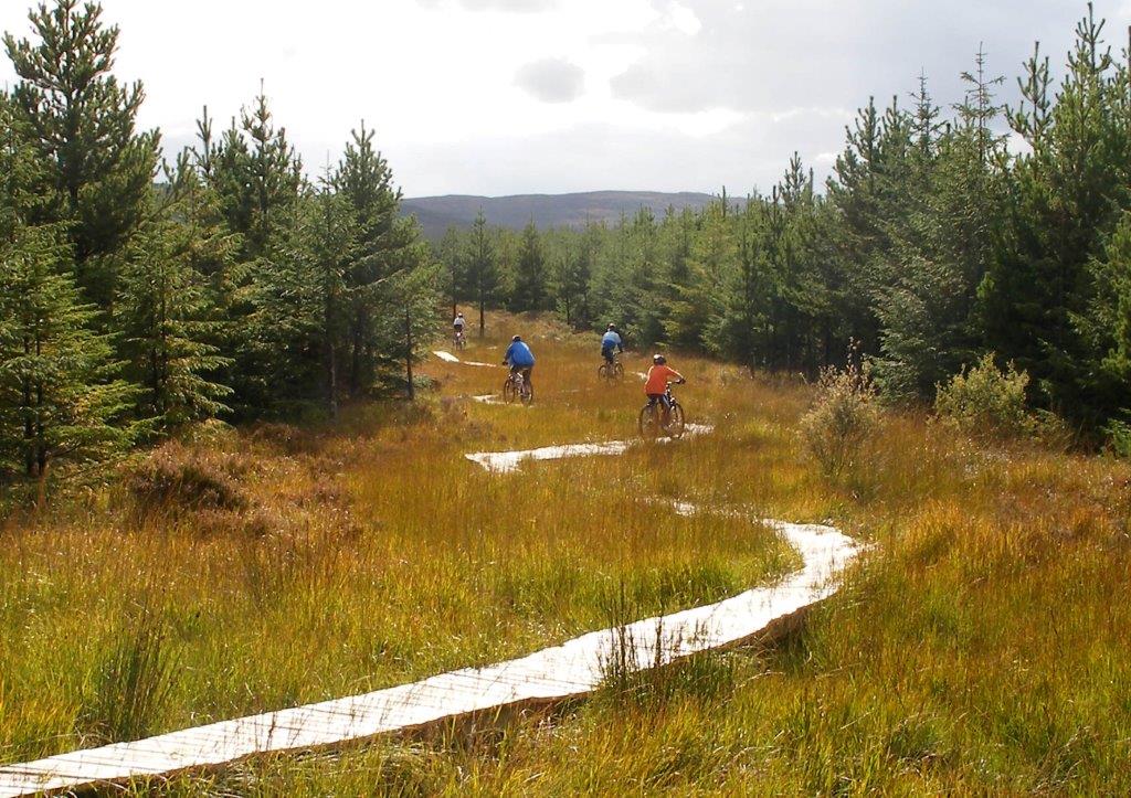 Derroura Mountain Bike Trail 