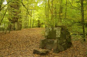 Picture of old stone chair in a Coillte Forest