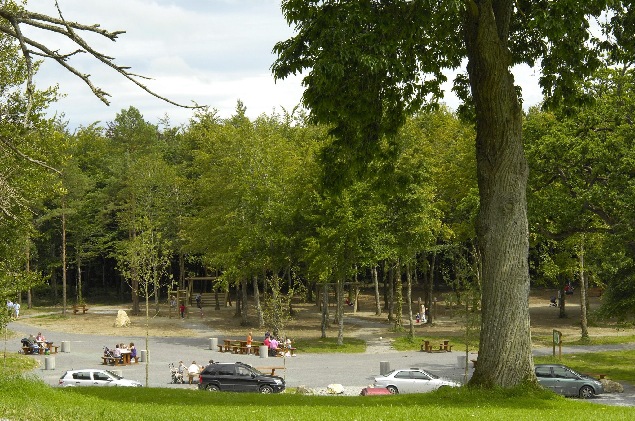 Picture of Coillte Forest Park