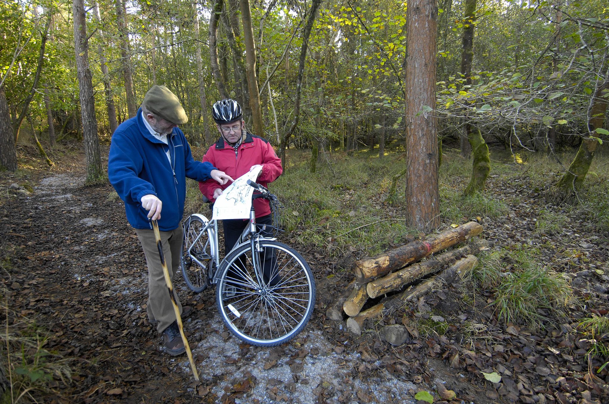 People using Coillte Forest Trail
