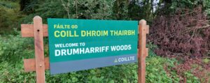 DrumharriffWoodsWeb