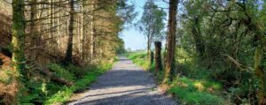 DrumharriffWoodsWeb