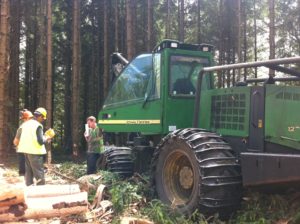 Certification auditor inspecting in Coillte Forest