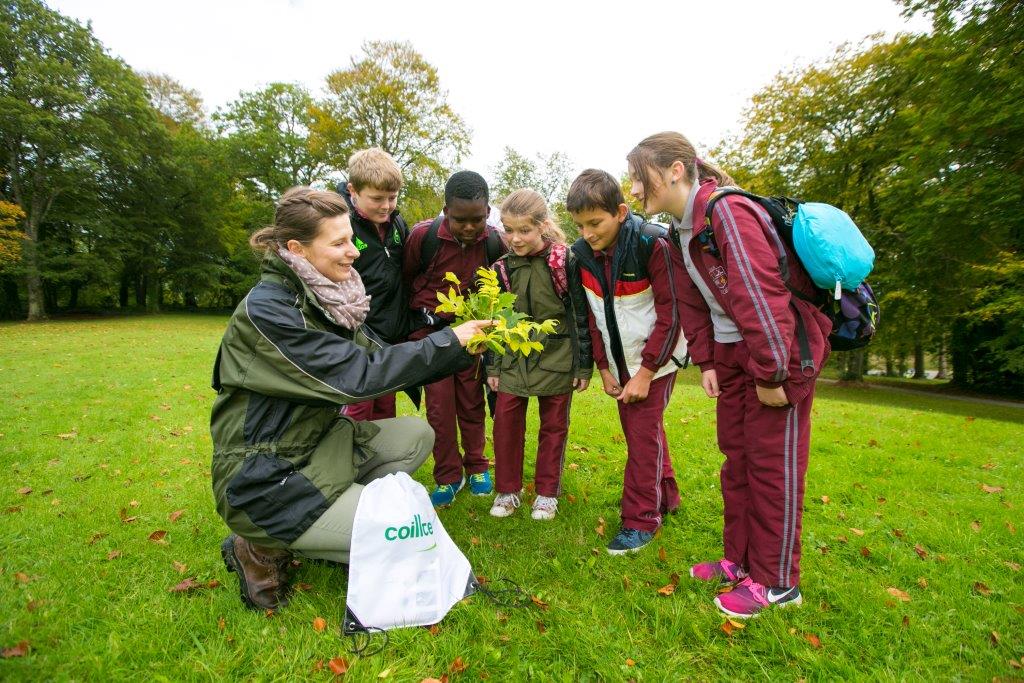 Coillte National Tree Day Event with school kids