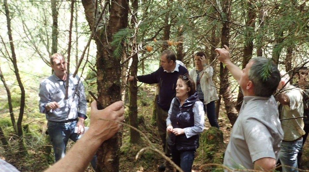 Forest manager discussing their plans with the public in the forest