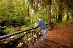 Picture of Coillte staff standing at a bridge in the forest