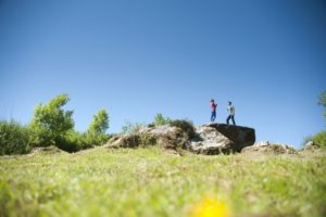 Picture of Coillte's Cavan Burren Geo Park