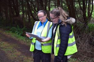 Picture of student working at Coillte