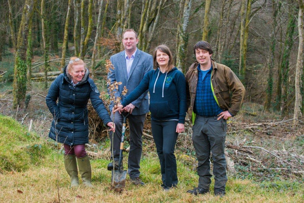 Picture of Coillte and An Taisce planting a tree at Curragh Chase forest park