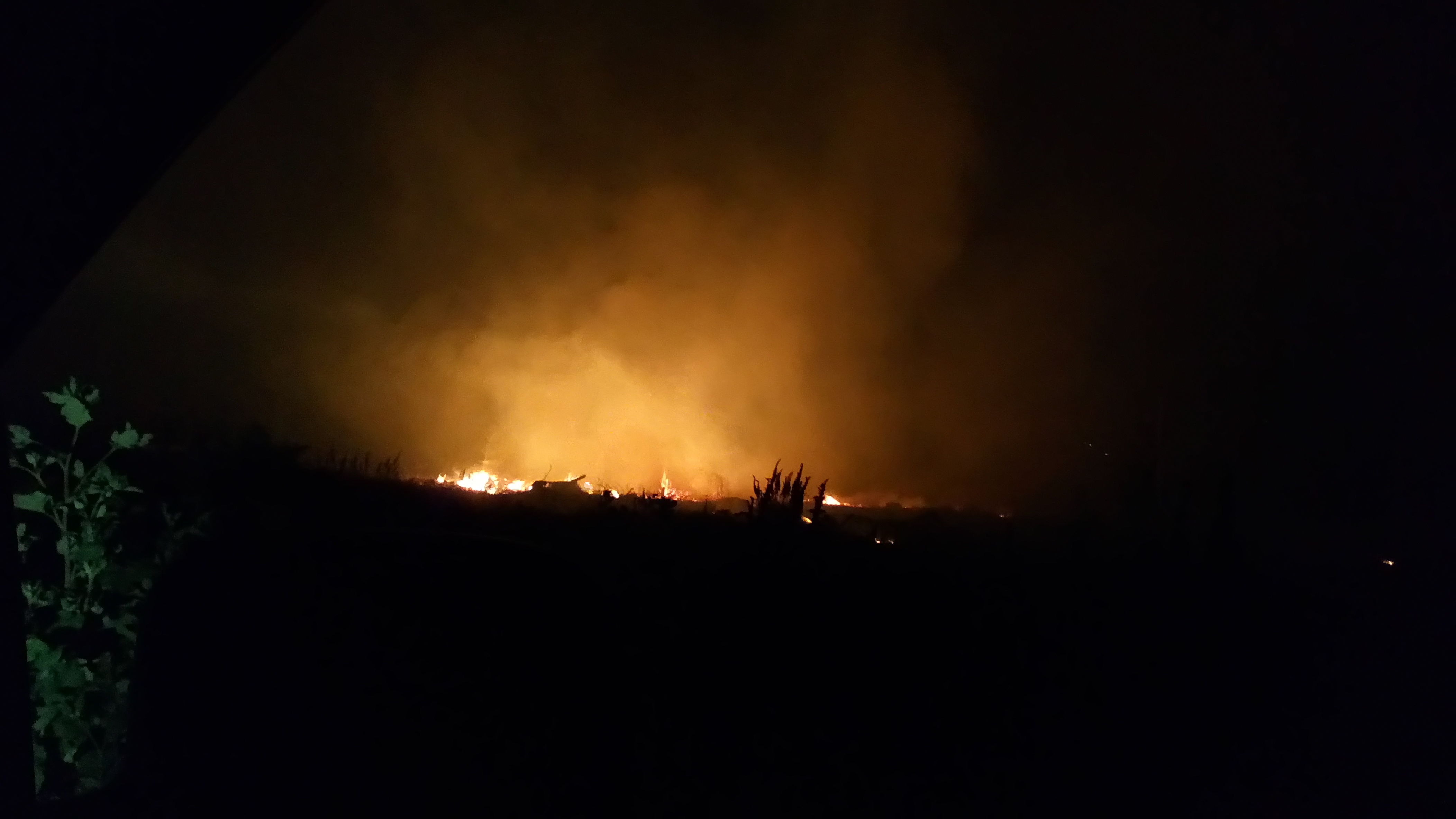 Picture of Forest Fire at Night
