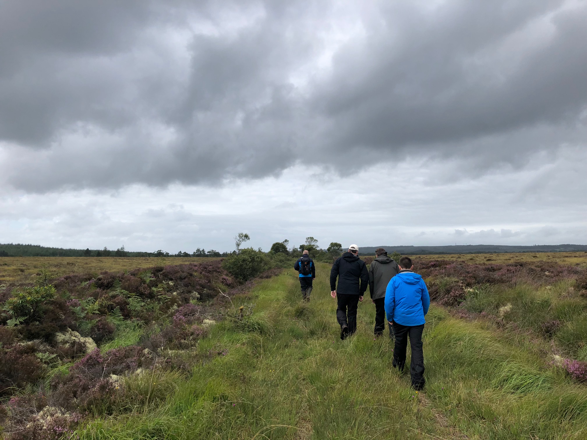 Picture of raised bog with people walking on it