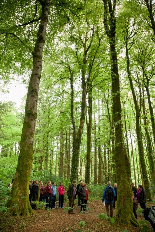 Coillte staff at green ribbon campaign launch