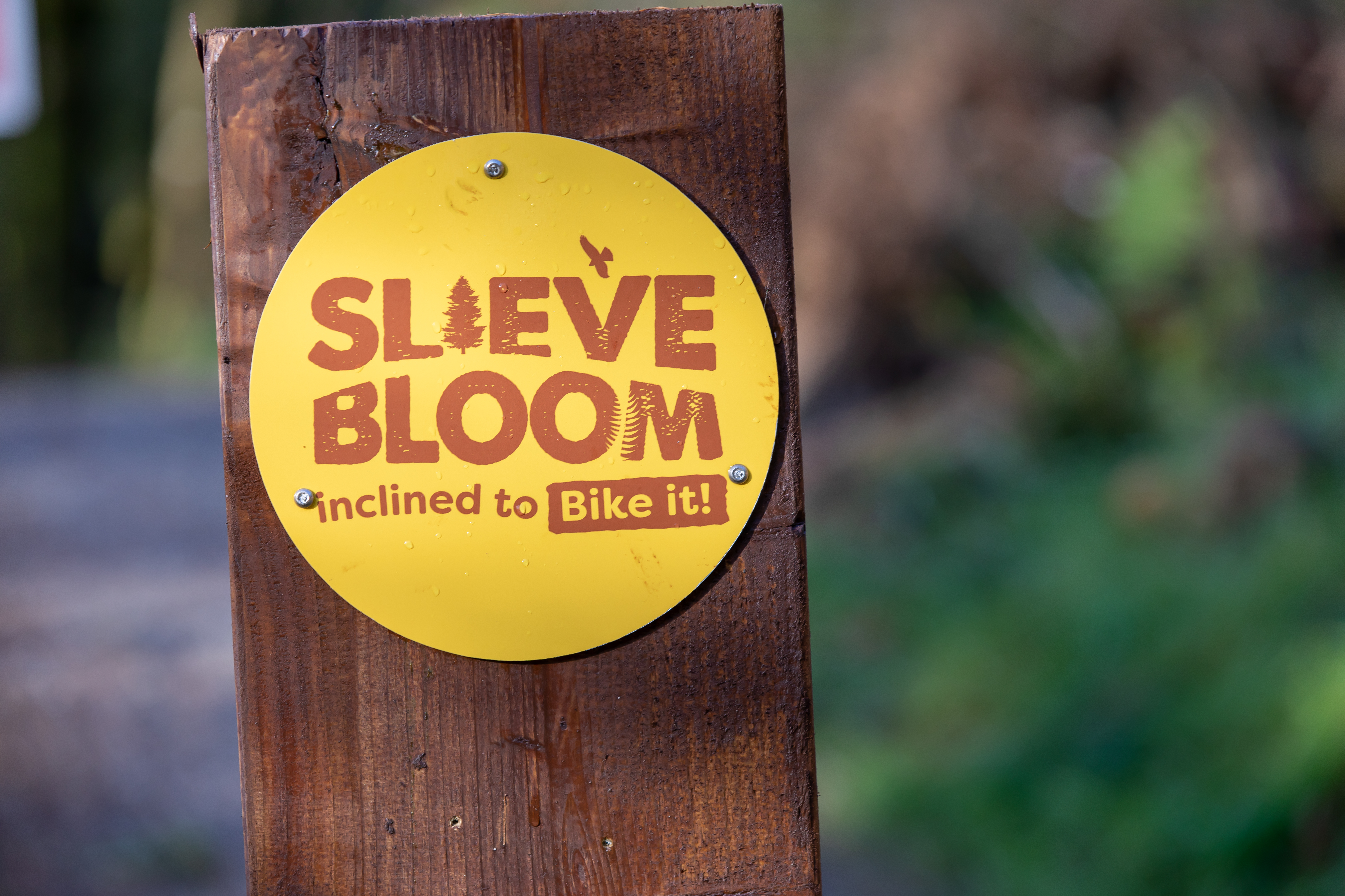 Slieve bloom mountain bike sales trail