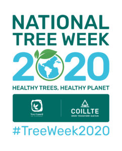 Logo showing national tree week 2020; sponsored by Coillte in partnership with the tree council of Ireland; the theme is healthy tree healthy planet