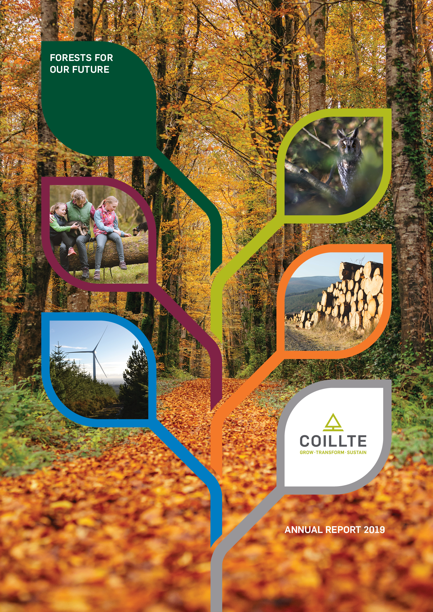 Picture of the cover of the Coillte Annual Report 2019 showing a forest pathway and the report title forests for our future