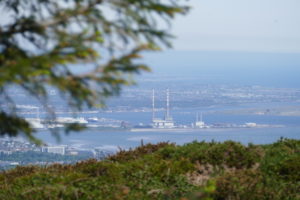 Picture of Dublin taken from Coillte's dublin mountain forests