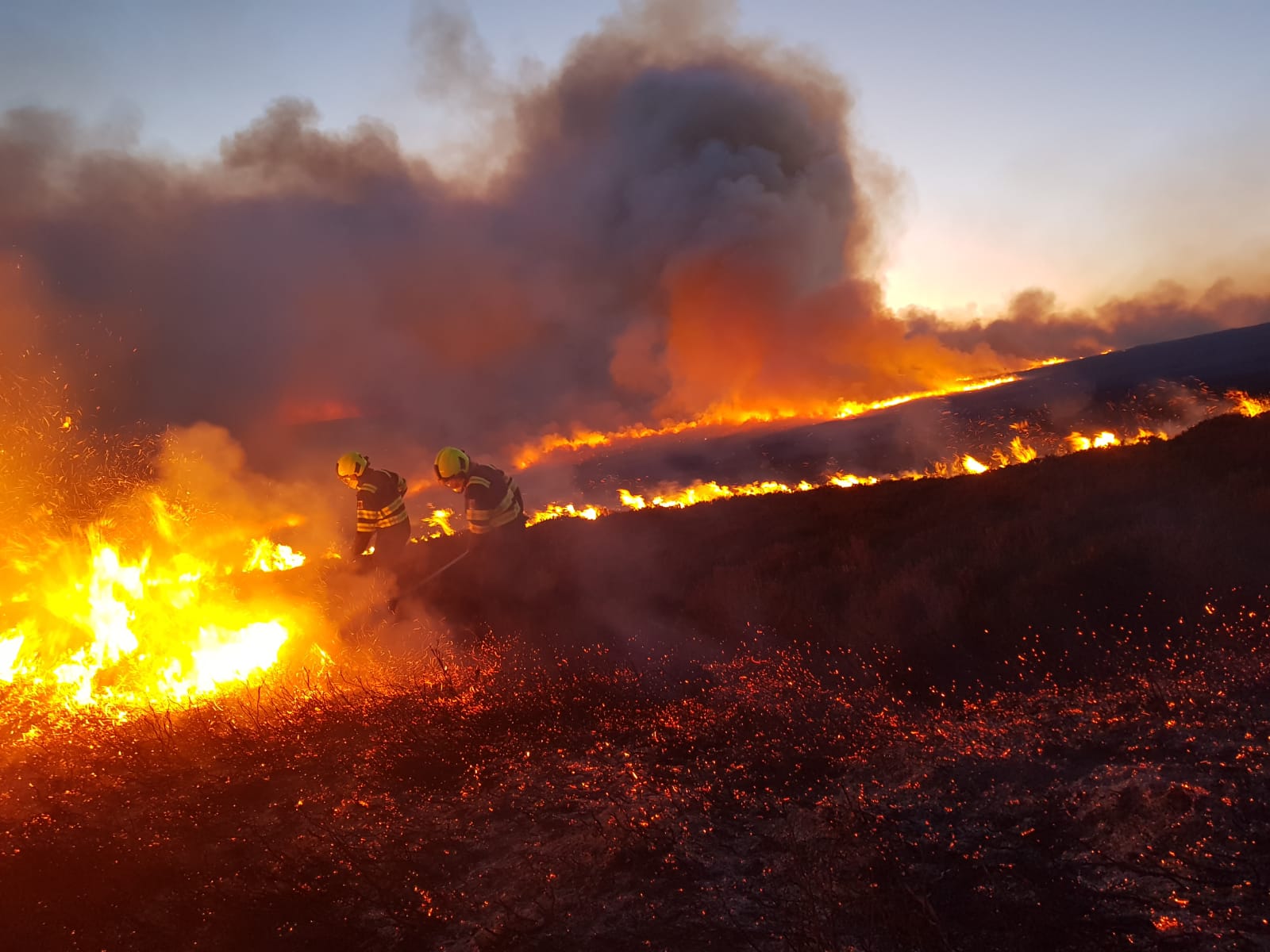 Coillte staff tackling a forest fire