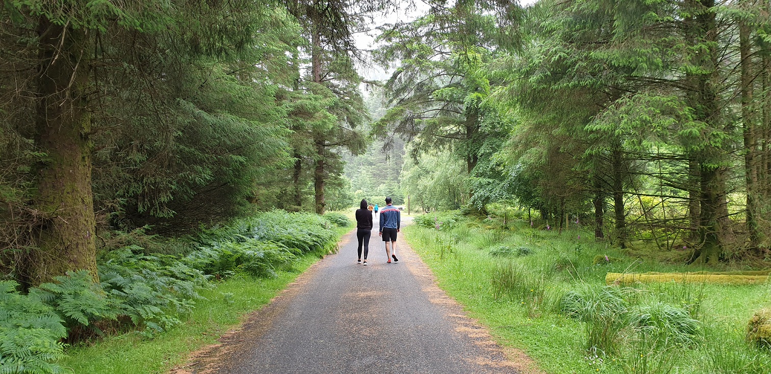 Coillte encourages everyone to participate in National Walking Day, Sunday September 27th, by visiting their local Coillte forests.