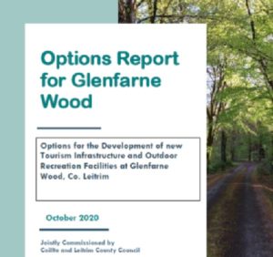 Cover picture of the Options Report for Glenfarne Wood