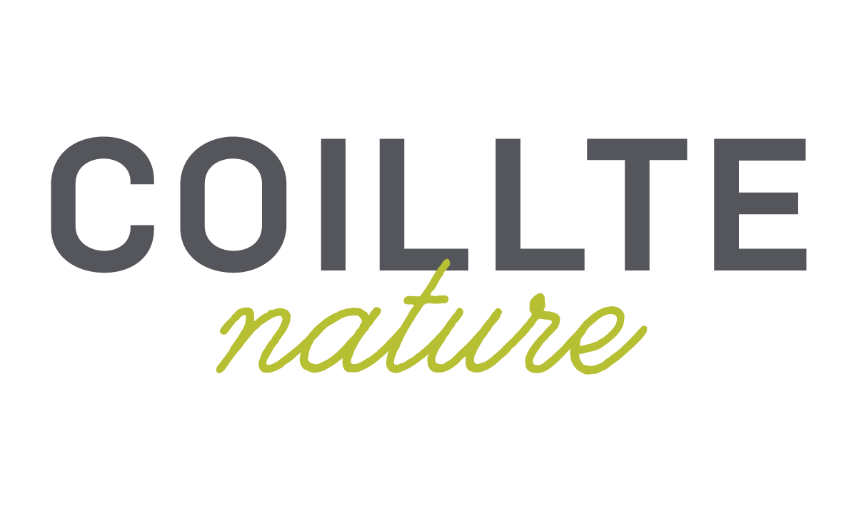 Coillte Nature’s first year: video, report and a message from our Director