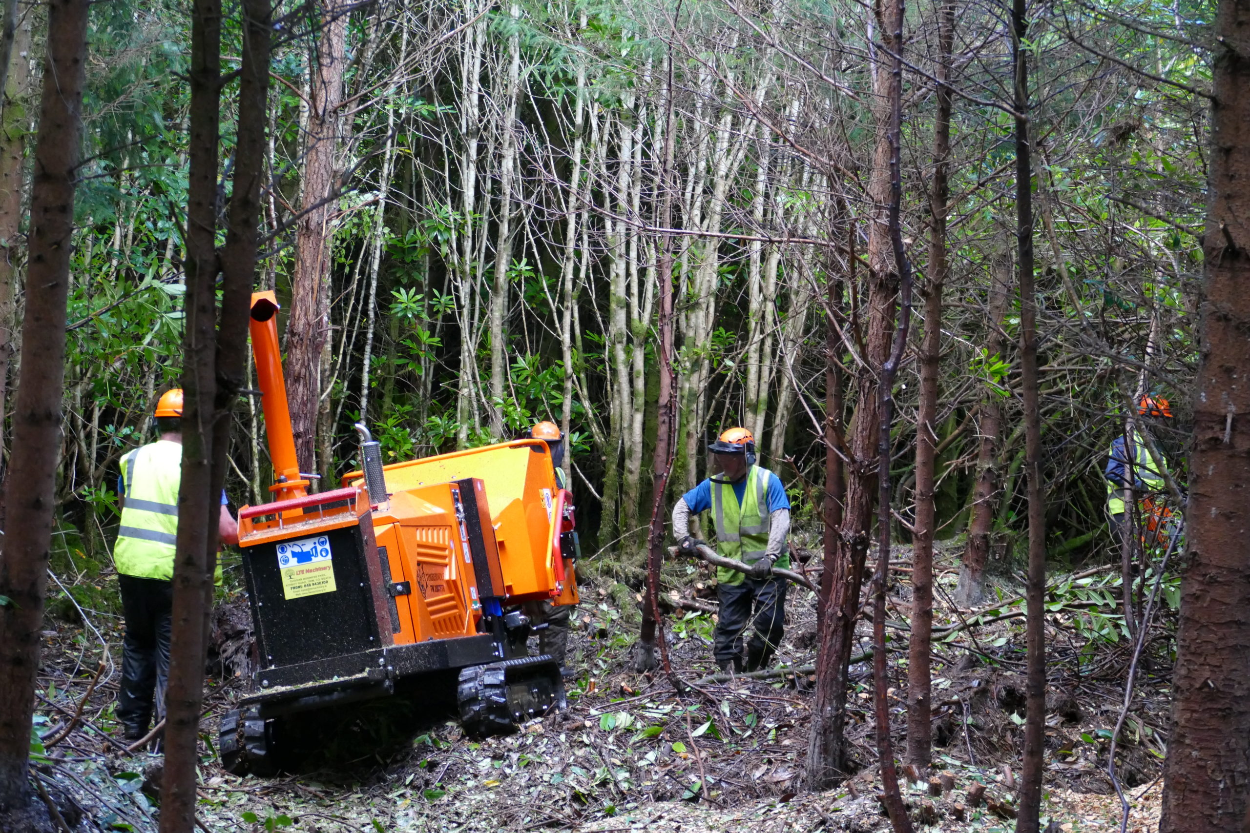 Contractors cutting and chipping the rhododendron