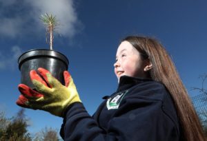 Lusk Senior National School Planting Trees for National Tree Week 2021