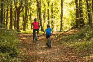 Cyclists riding along a forest path at Coillte's Curraghchase Forest Park