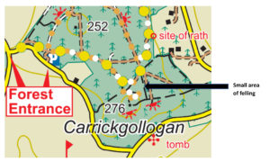 Small area of trees to be felled at ESB powerline at Carrickgollogan