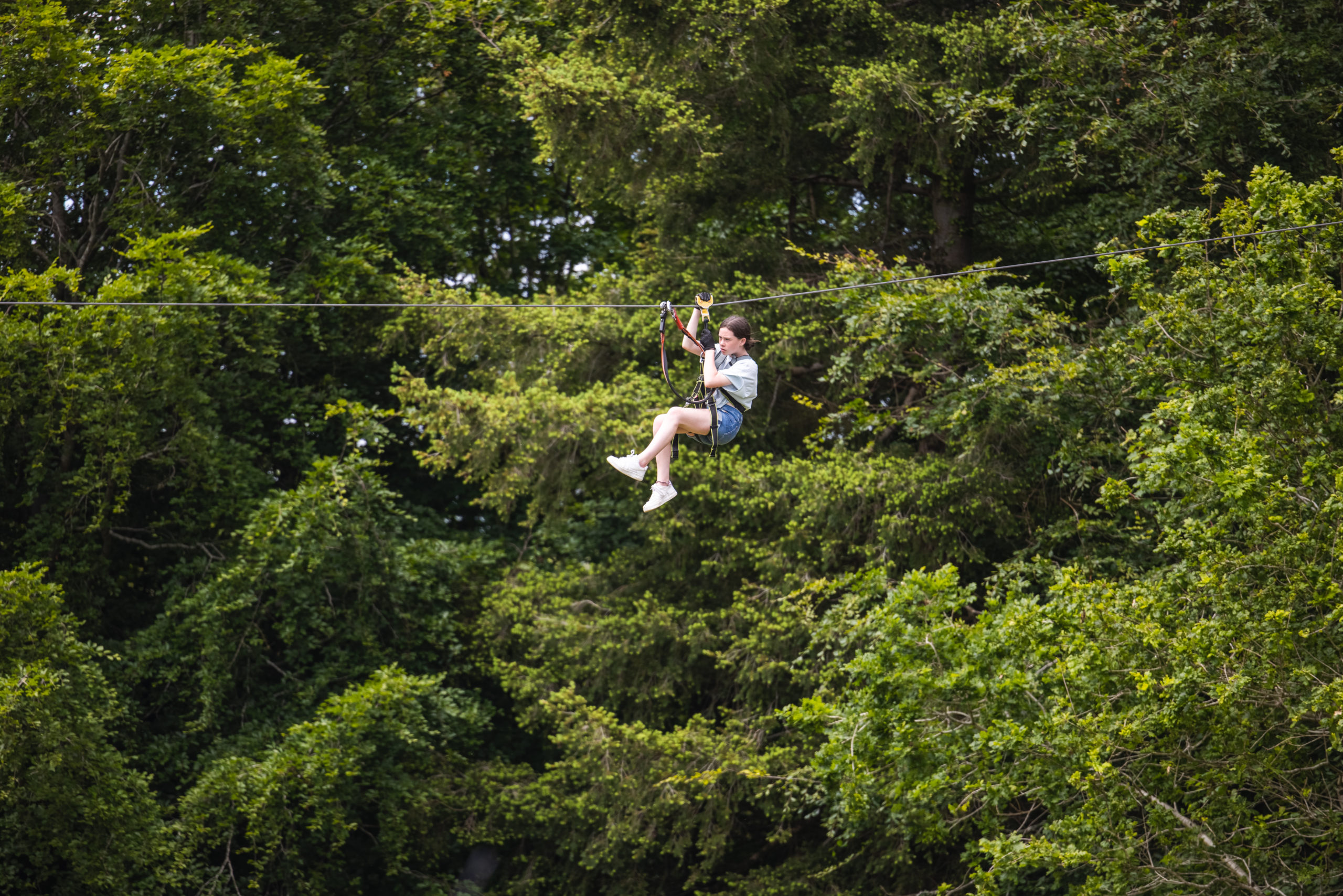 Top 5 Coillte forests for thrillseekers this summer